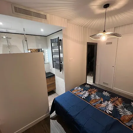 Port De Belle Petite Pepite * 尼斯